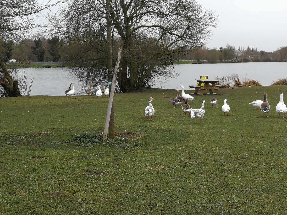 Marche au parc du vignoble