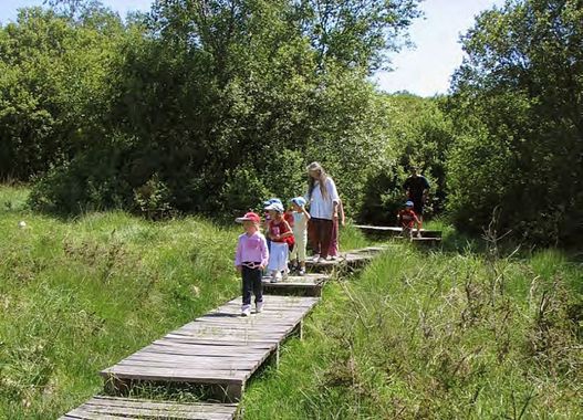 Chasse aux Korrigans: Allée couverte et tourbière