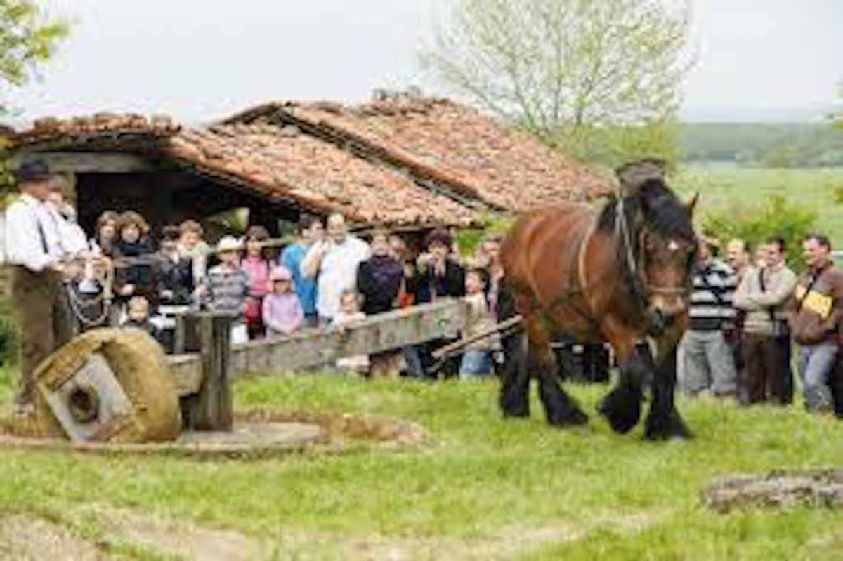 les vieux metiers d'Azanes`