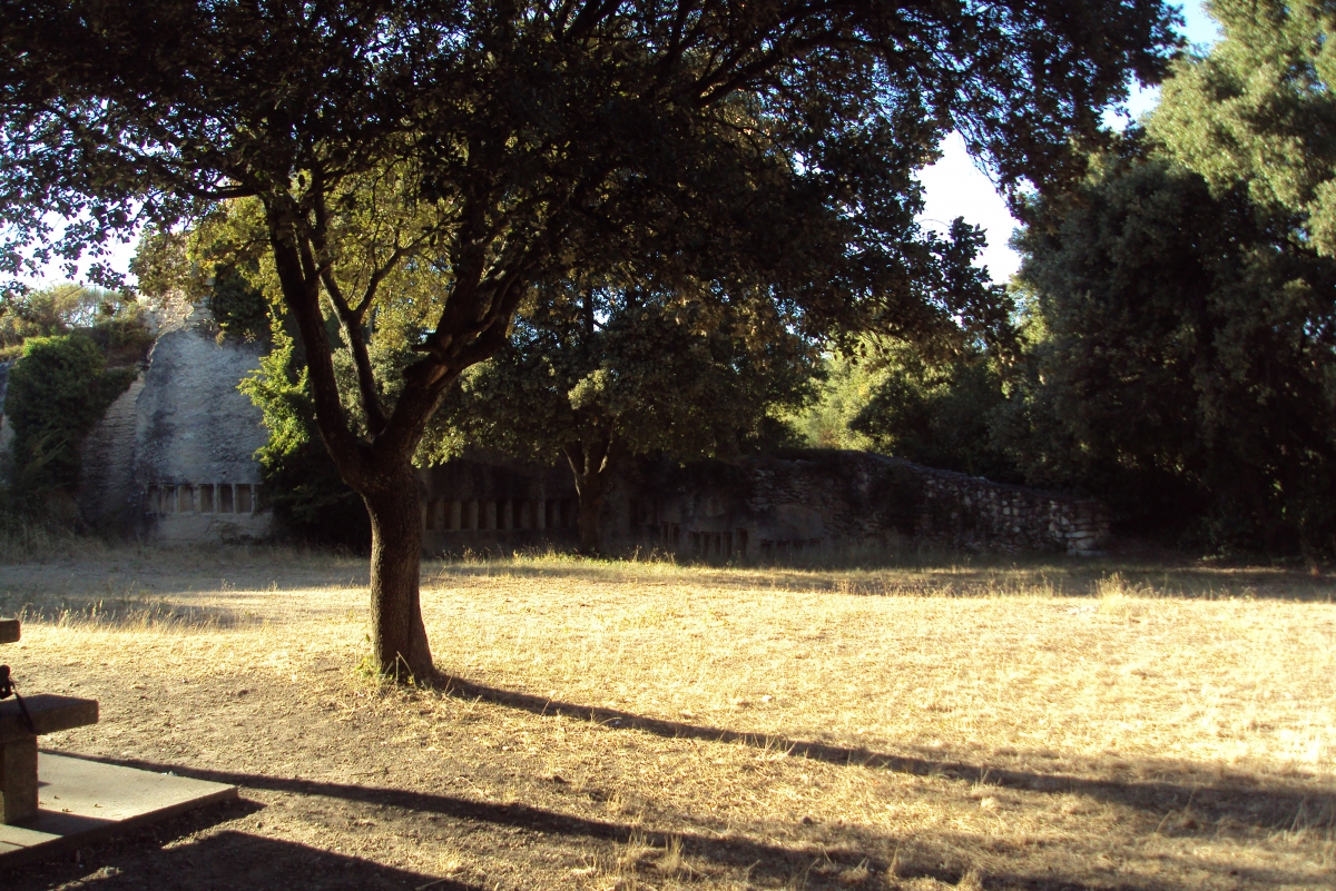 Petite Marche nocturne et picnic