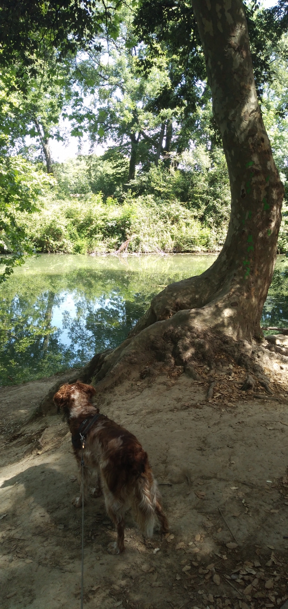 Sortie Naturaliste