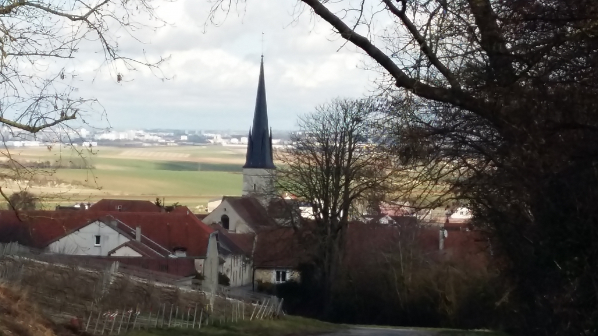 JOURNEE VENDANGES