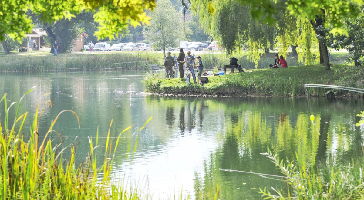 Flânerie dans le parc de l'Ovalie àSassenage