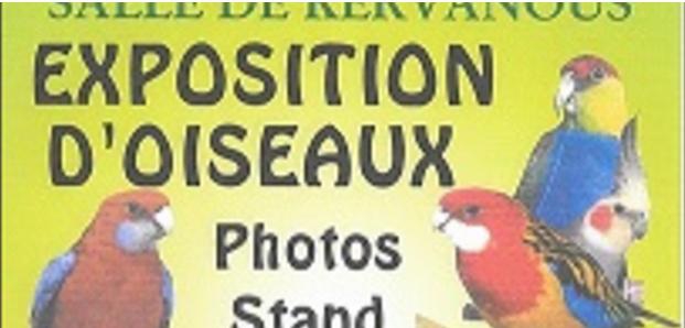 Oiseaux expo et bourse