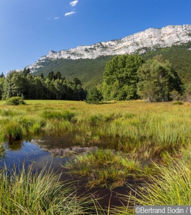 DECOUVERTE ET DEGUSTATION DE PLANTES