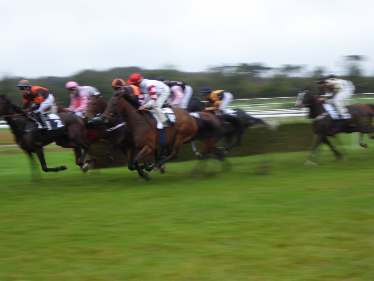 Courses hippiques à l'hippodrome de Landi