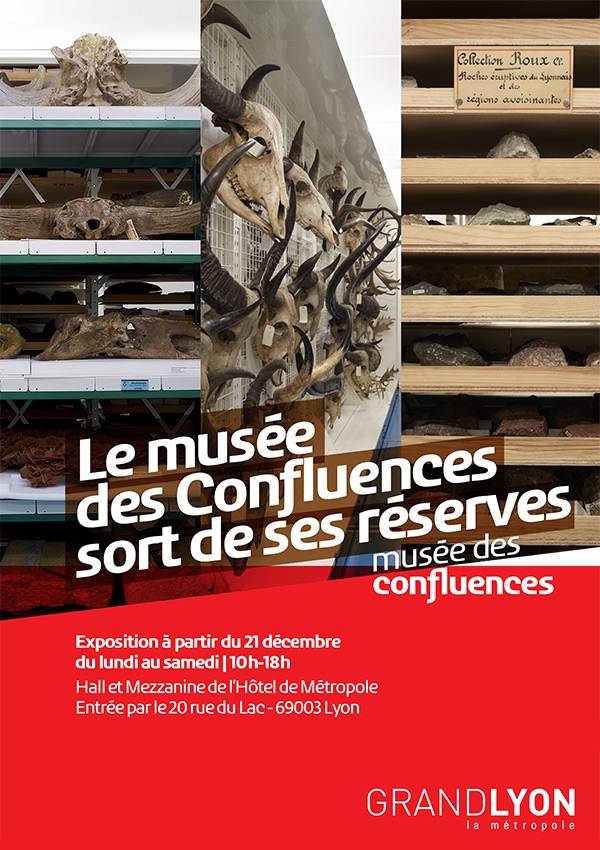 Expo le musée des Confluences sort de ses réserves