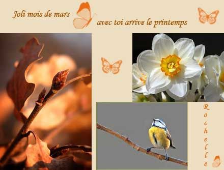 Joli Mois de Mars ! Avec Toi arrive le Printemps