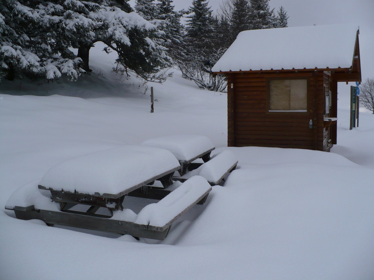 Balade raquettes ou à pied auberge des Allières