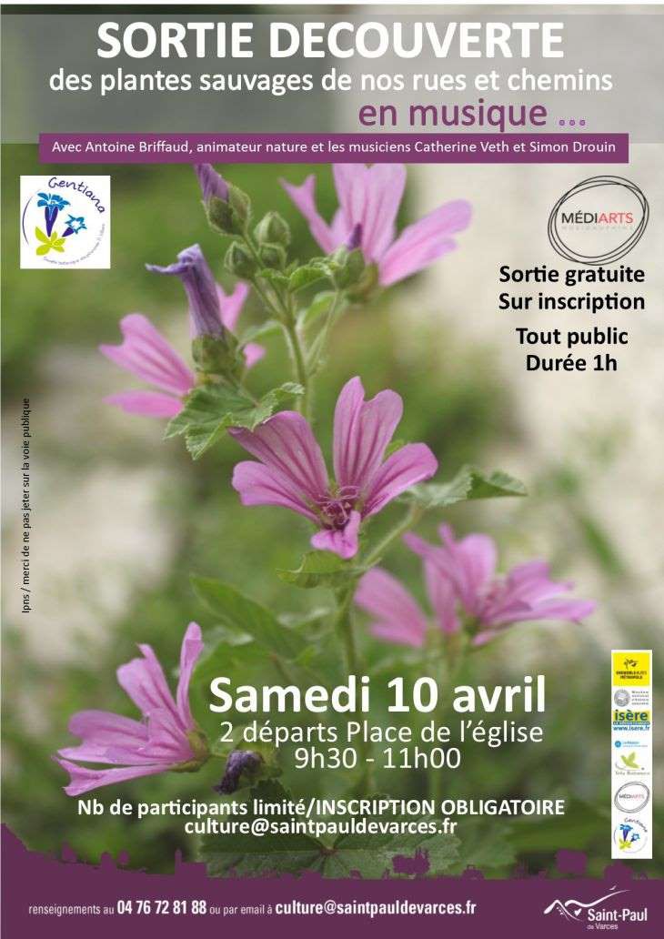 SORTIE DECOUVERTE DES PLANTES SAUVAGES EN MUSIQUE