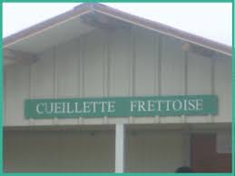 CUEILLETTE DE LEGUMES LA FRETTE