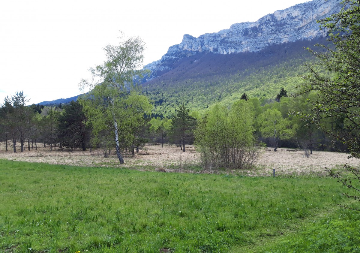 PLATEAU DE PEUIL - PIC NIC EN SOIREE