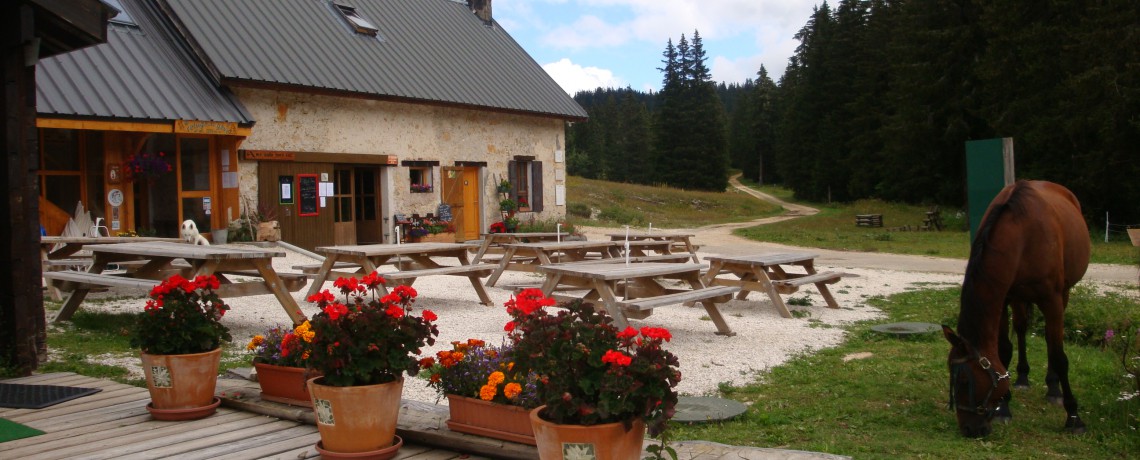 Balade dans le Vercors