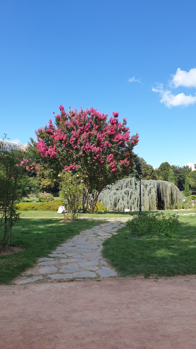 Marche  au  Parc de la Tête d 'Or