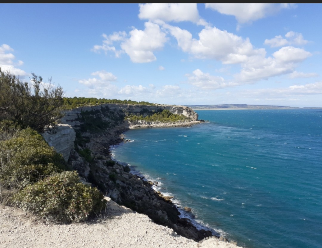 Du Racou à  Colioure