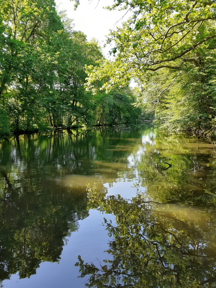 Rando à Vienne en Val