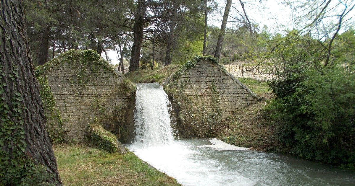 Ballade et pic nique dans les alpilles