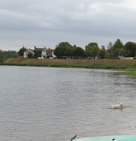 La Loire en Canoë