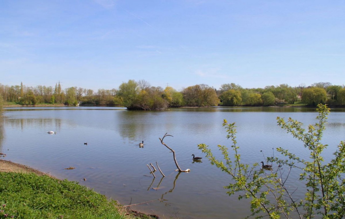 Balade autour du lac du Carouge à Brétigny