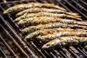 SARDINES GRILLEES A ST GILDAS