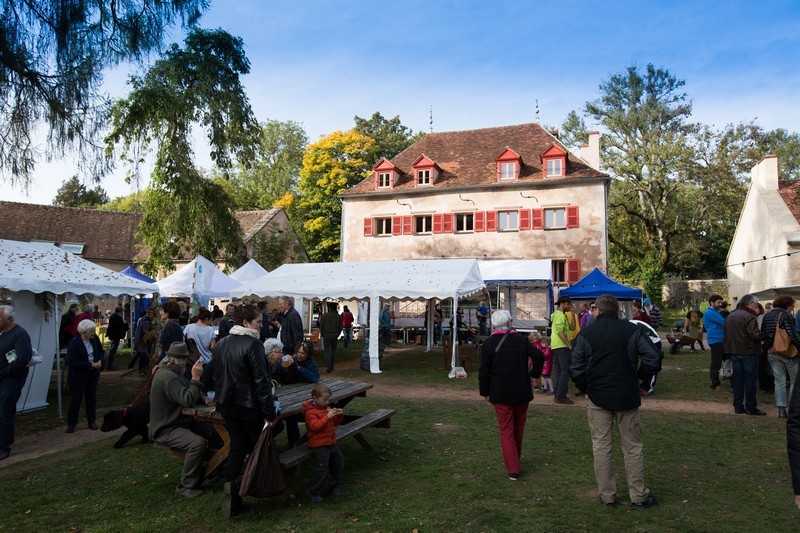 Fête de l'automne et des associations dans le morvan