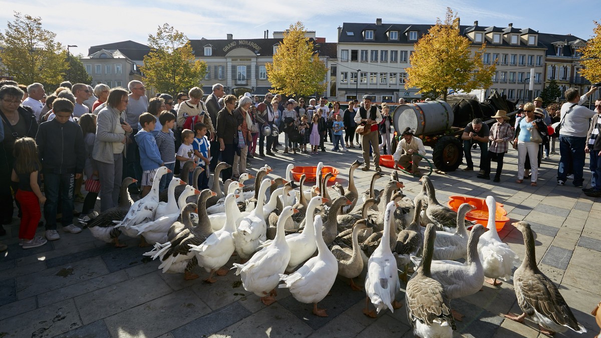 La fête des vendanges  quartier  St brice