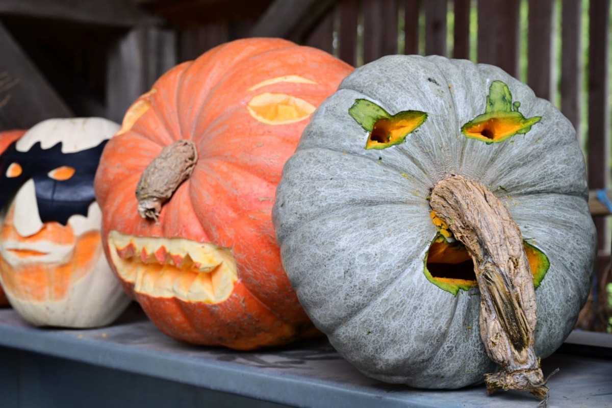 Photos d'Halloween à l'arche de la nature.