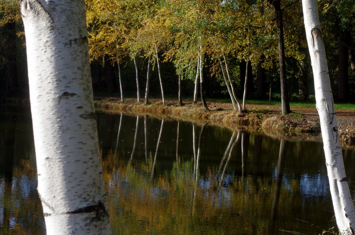 Bol d'air à l'arche de la nature