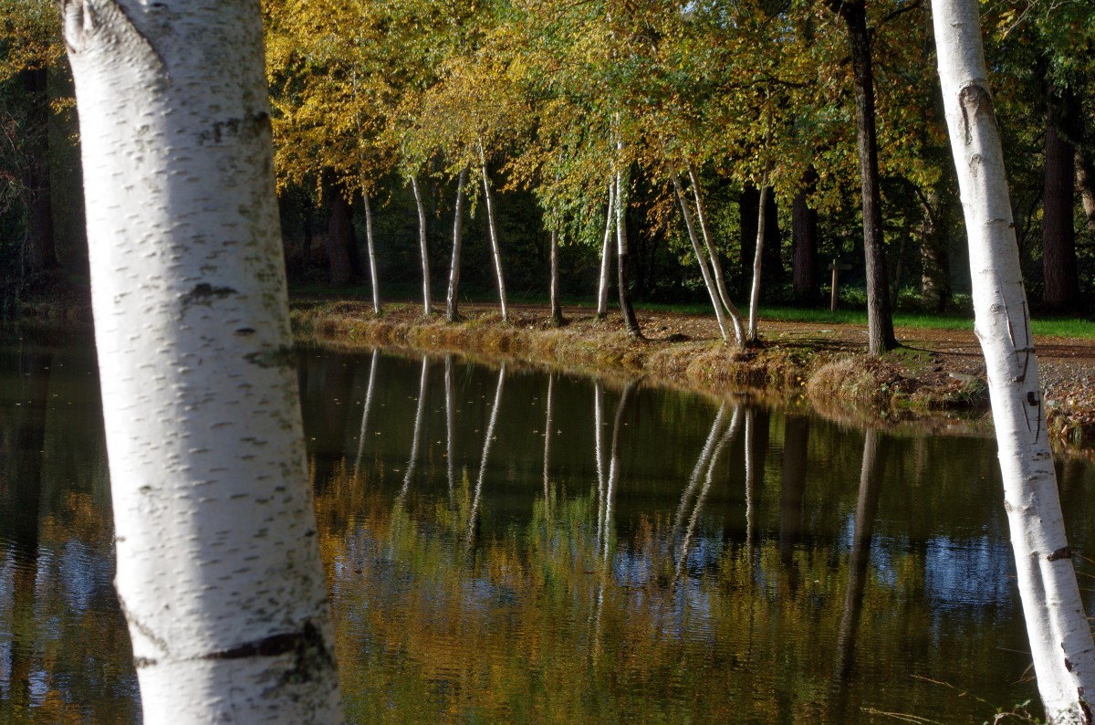 Bol d'air et tasse de café à l'arche de la nature