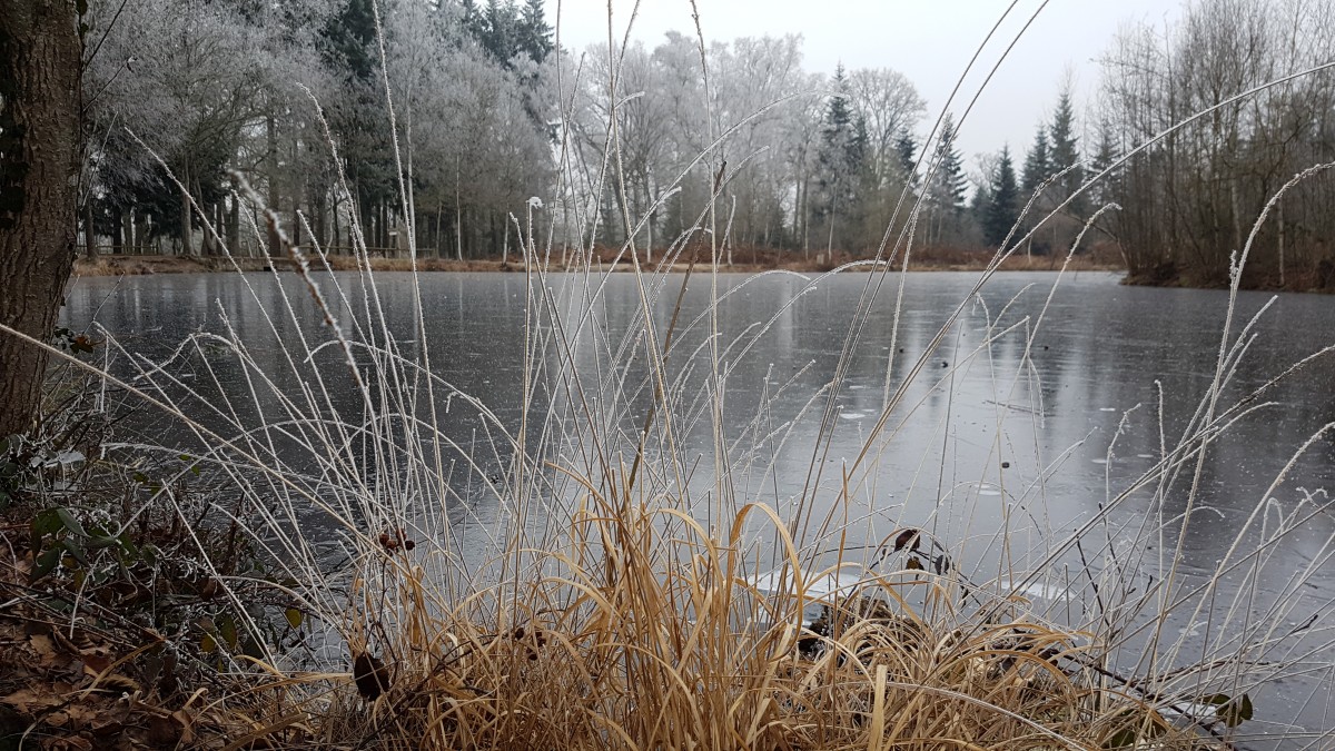 Bol d'air frais et tasse de boisson chaude à l'arche de la nature