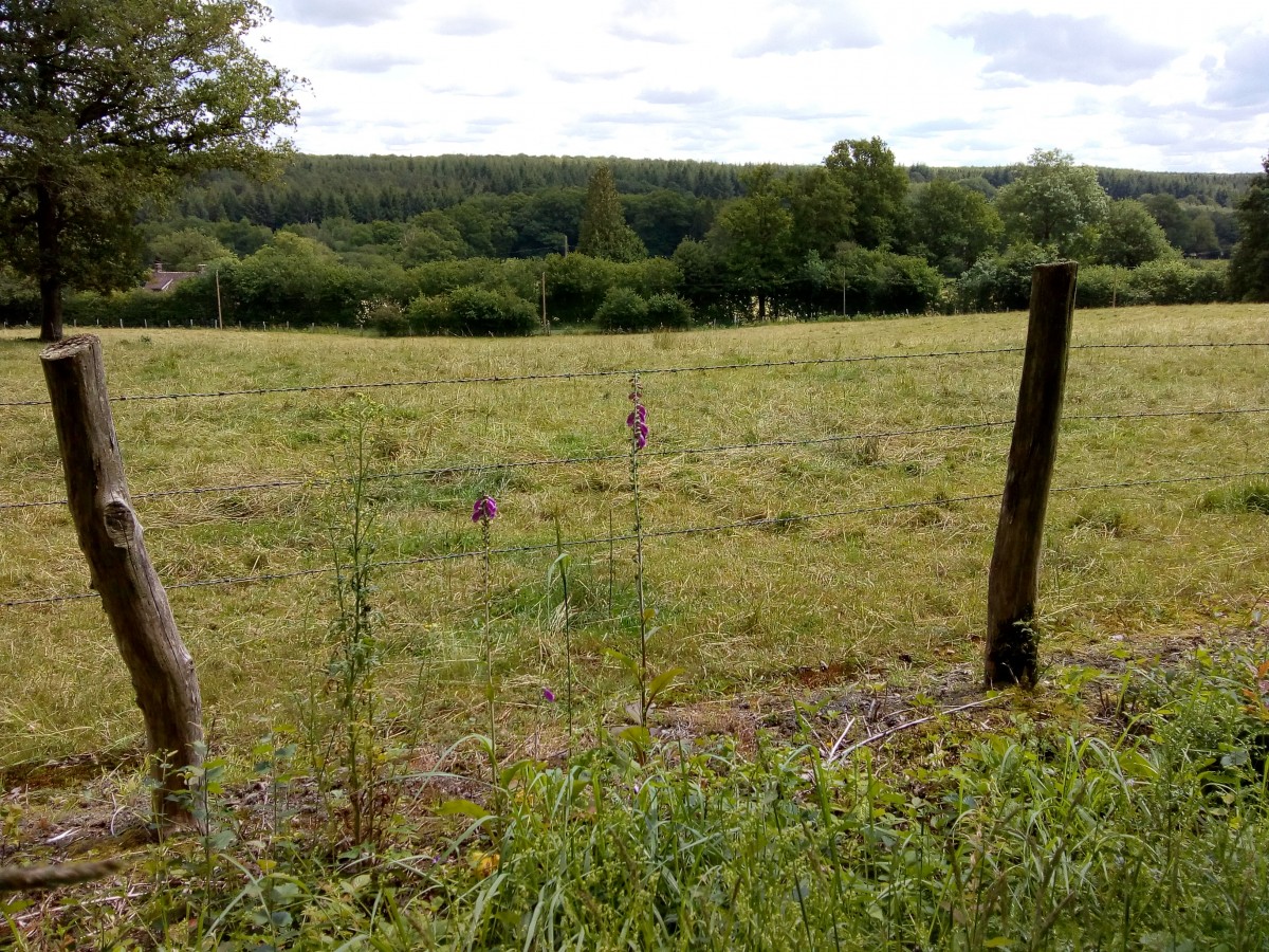 Rando 22 km dans le Perche (28)