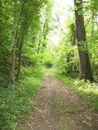 Le tour du bois de La Ferrière