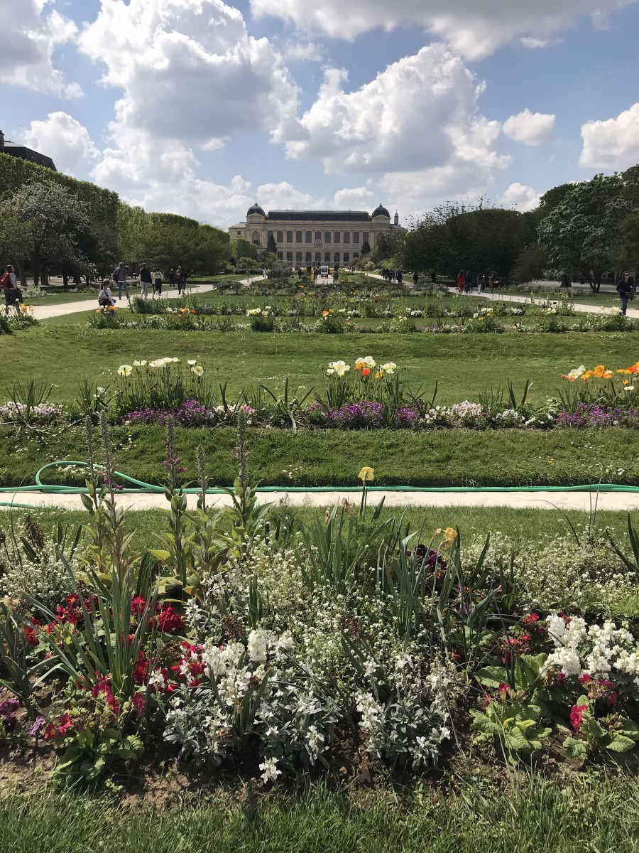 Balade au jardin des Plantes