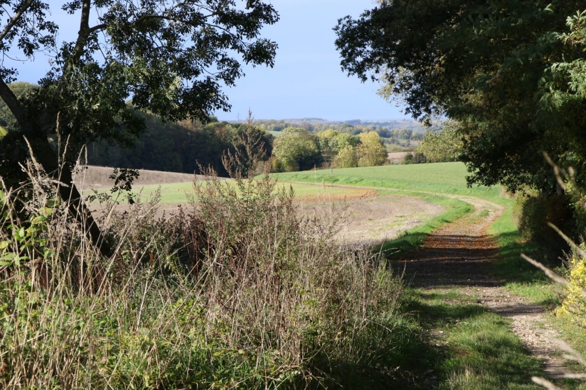 Rando 20 km Sud du Vexin (78)