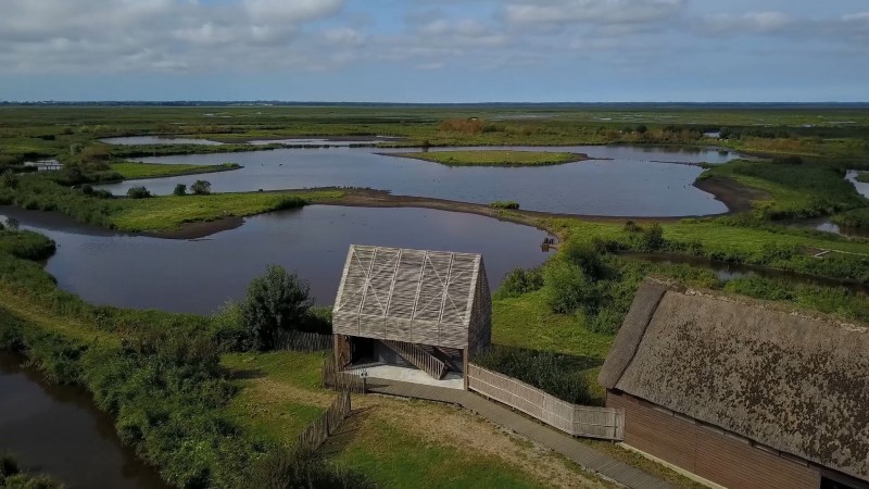 Balade Nature et observation en Brière