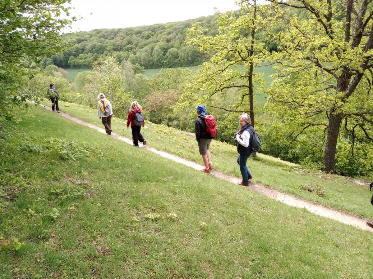 Rando 9km entre Génicourt et Livilliers