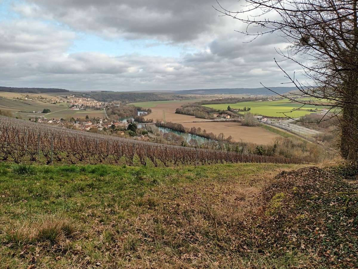 Rando 18 km les vignobles (77)