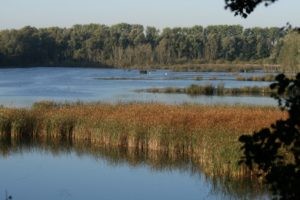 Réserve Naturelle et Ornithologique de Ploegsteert