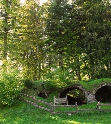 PIQUE NIQUE FORET DE PREMOL