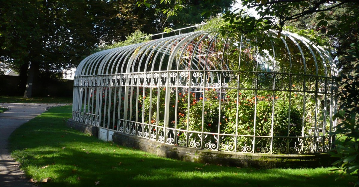 Musique, danses au jardin botanique