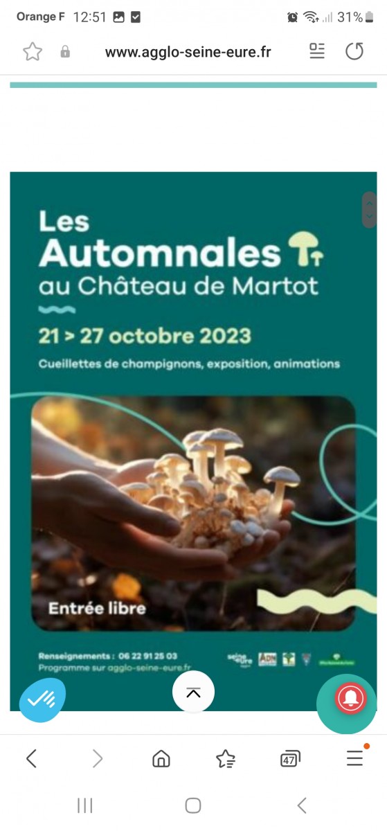 Automnales du château de Martot