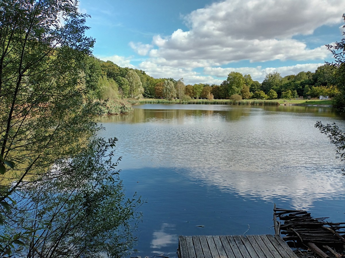 Rando 15km forêt Meudon (92)