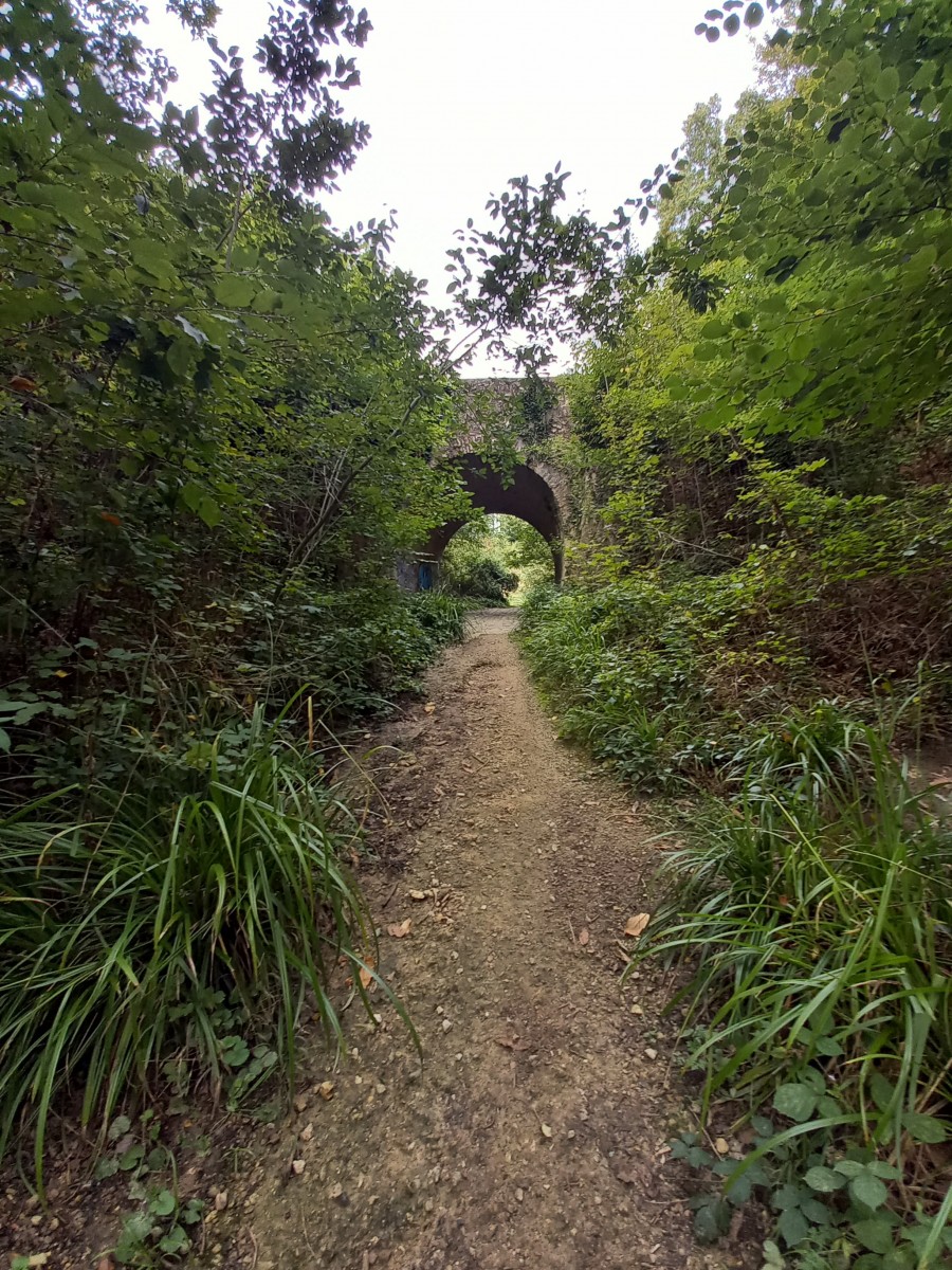 Petite marche en forêt