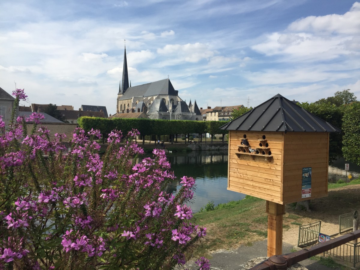 De Souppes sur Loing à Nemours par le GR13