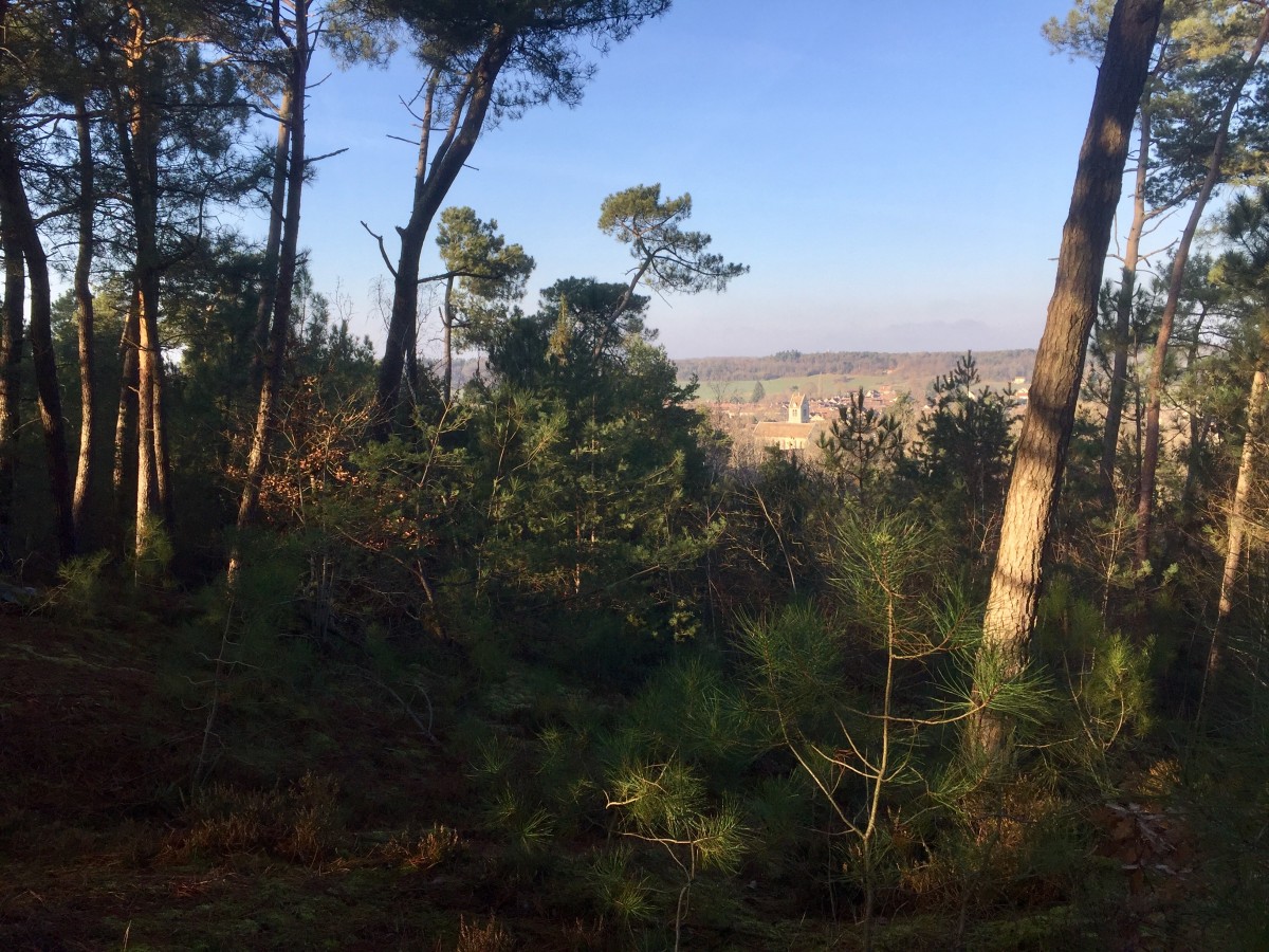 Balade à Villiers-sous-Grez