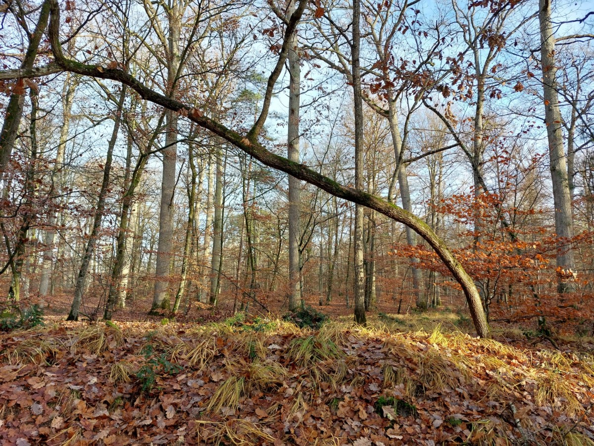 RANDO CROIX D'AUGAS