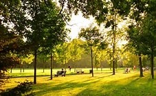 MARCHE AU PARC DE PARILLY - SORTIE GRATUITE