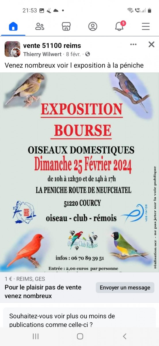 EXPOSITION OISEAUX DOMESTIQUES