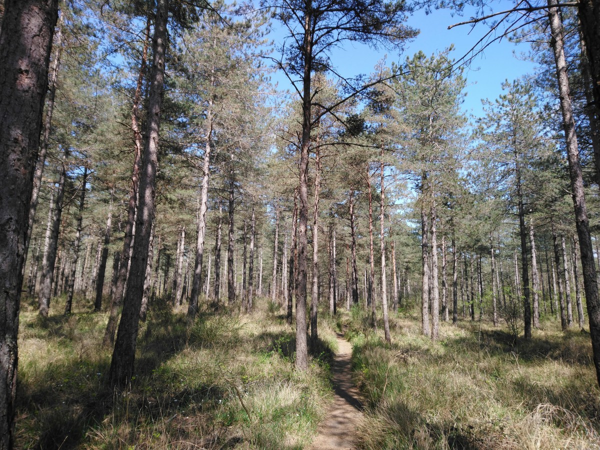 RANDO CROIX D'AUGAS