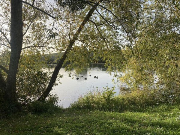 Balade au lac d'Acquigny ou de son vrai nom lac de l'Onglais.